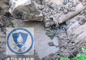 岳阳水管漏水检测公司5